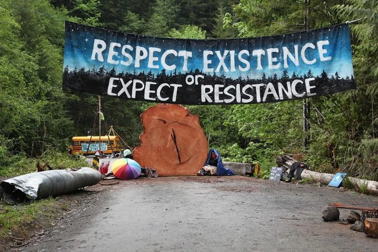 B.C. Residents Rally to Protect Ancient Rainforests